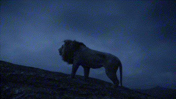 今年狮子王电影特效效果很棒（狮子王---一部看不出是特效的电影）(31)
