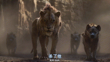 今年狮子王电影特效效果很棒（狮子王---一部看不出是特效的电影）(18)