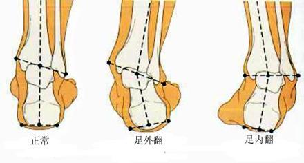 宝宝学会走路半年还是不稳（8个月的宝宝站立行走）(3)