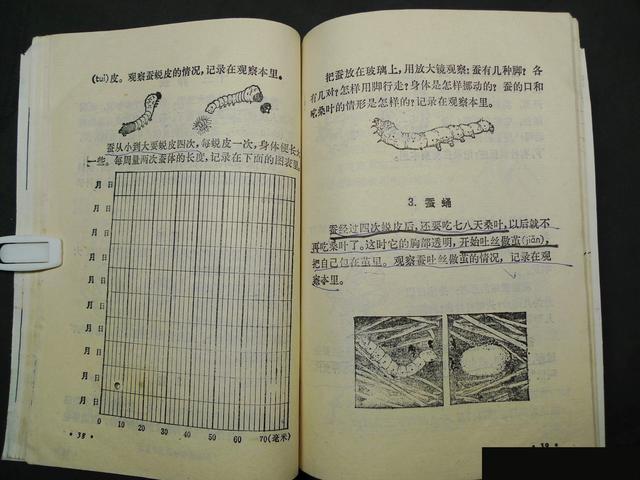 自然课本第一册（小学课本自然第二册）(26)