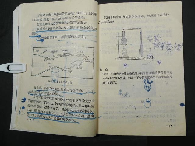 自然课本第一册（小学课本自然第二册）(15)