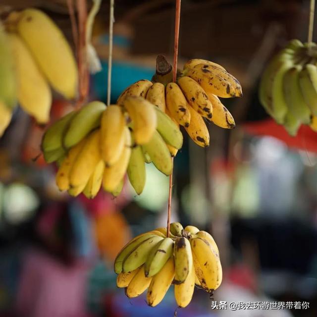 芽庄必吃的十大美食（看饿了物美价廉）(20)