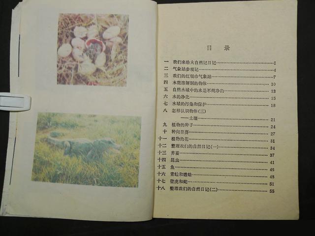 自然课本第一册（小学课本自然第二册）(6)