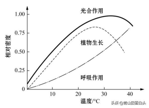 植物的生长需要什么条件，种植物生长所需要的条件