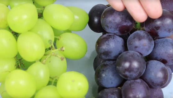 葡萄和提子是一个品种吗，详解提子与葡萄的区别