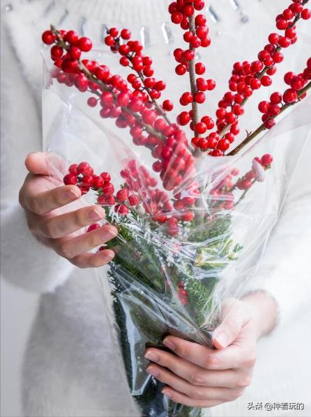 冷门好听的花名花语有哪些，盘点好听又有深意的花名