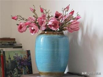 广玉兰花是什么颜色，了解玉兰花的品种介绍