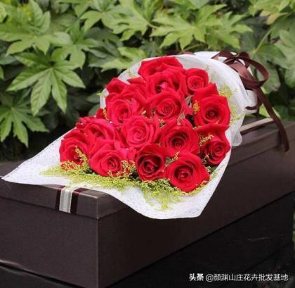 19朵红玫瑰代表什么花语，关于玫瑰的象征意义