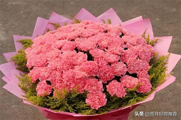 哪些花在夏天开，盘点10种代表夏天的花