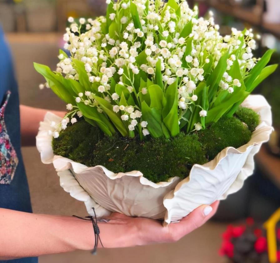 什么花最香最持久，香气最浓的花大全