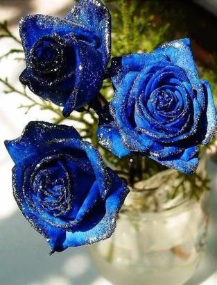 15朵蓝色妖姬花语是什么意思，关于蓝玫瑰真正的含义