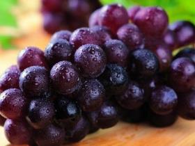 葡萄种植技术与管理，葡萄种植时间和方法
