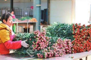 买来的花束怎么养活，了解鲜花的养护技巧