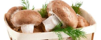 怎么种植香菇，分享种植香菇的方法与技术