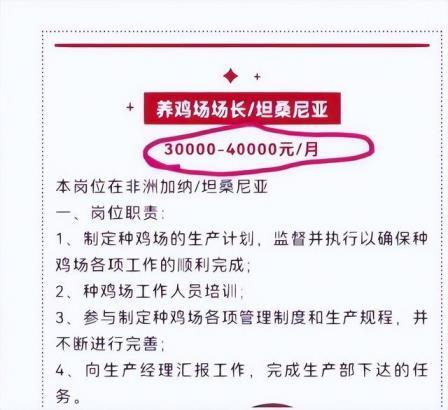 月薪4万招人去非洲养鸡，企业回应：太多人投简历了