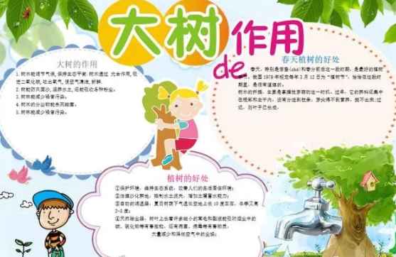 幼儿园植树节手抄报图片2023植树节手抄报资料内容八宝网