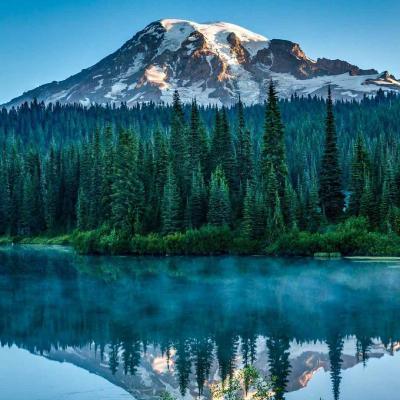 自然山水树风景头像美丽迷人令人震撼的绿色自然风景图片