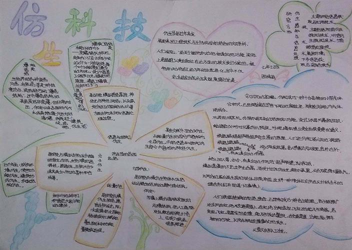 科普手抄报图片大全科普手抄报内容资料小学生科普手抄报大全亲