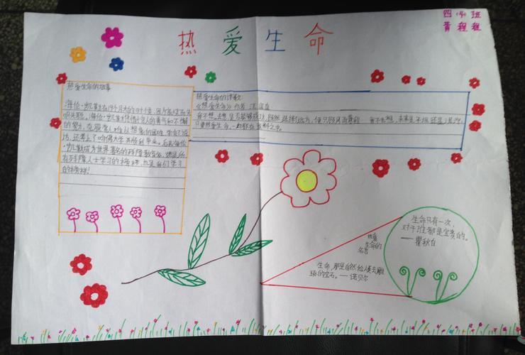 当代小学生热爱生活的手抄报热爱生命的手抄报