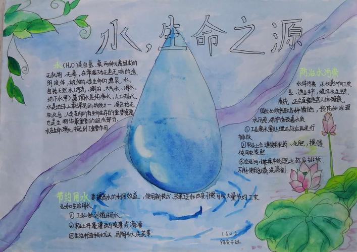 沙市实验中学化学学科活动《爱护水资源》手抄报展美篇