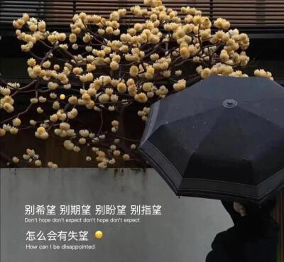 扣扣纯背景图堆糖美图壁纸兴趣社区