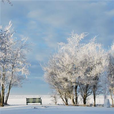 冬天唯美的雪景头像下雪的冬天是极其美丽的唯美头像