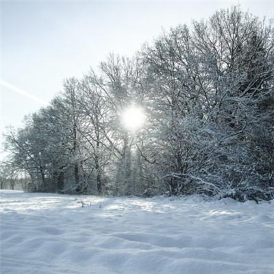 冬天唯美的雪景头像