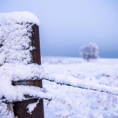 深冬雪景风景头像图片白色不再是单调风景头像美头网