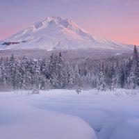 可以当头像的雪景最爱的景物便是冬雪唯美头像