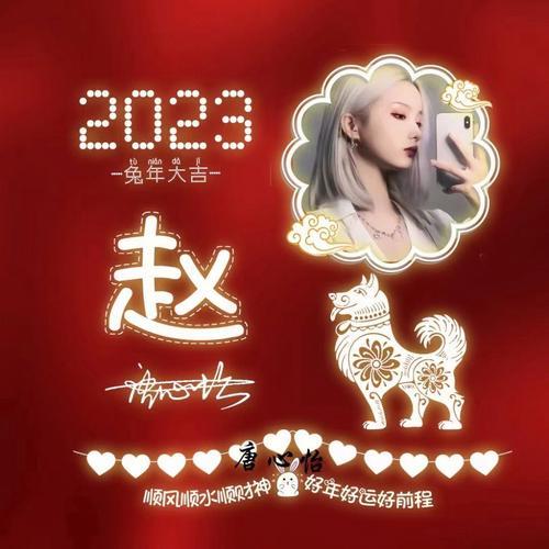 2023新款生肖姓氏头像制作你留姓我做图