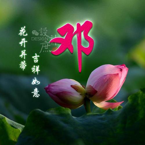 微信头像:花开并蒂吉祥如意