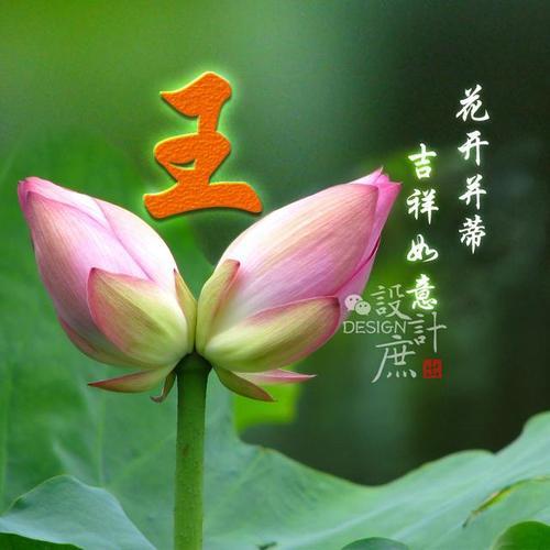 微信头像:花开并蒂吉祥如意