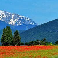 草原山川四季风景微信头像真实大自然风景图片