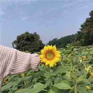 花草站内搜索腾牛网