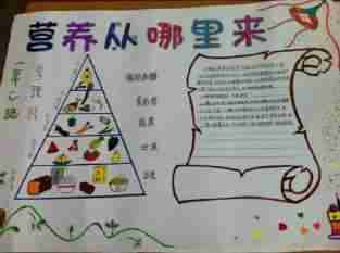 营养日小学生手抄报小学生手抄报