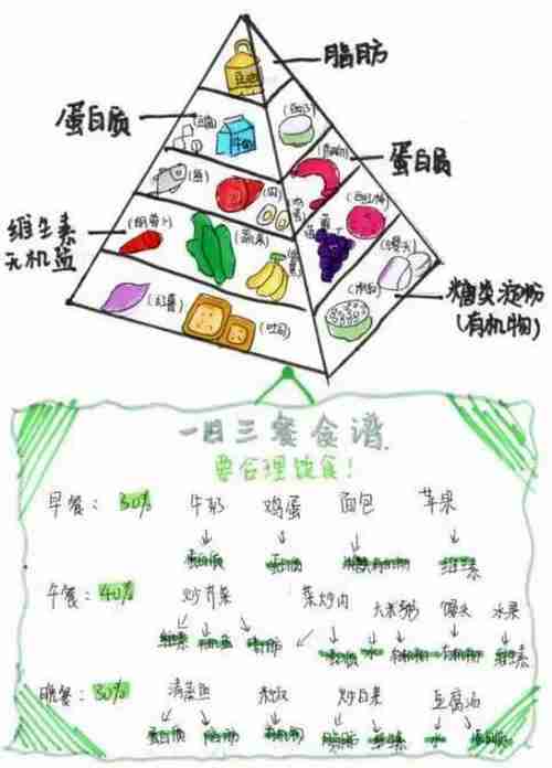 一日三餐食谱手抄报精选13张