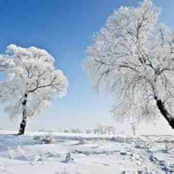 冬季美丽的雪景风景头像图片回车桌面