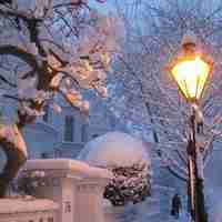 清新迷人的冬季雪景头像图库回车桌面