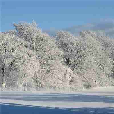 冬天唯美的雪景头像图片头像图片