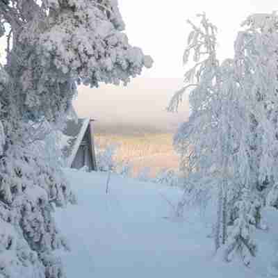 雪景头像唯美冬季雪景风景太美了唯美头像