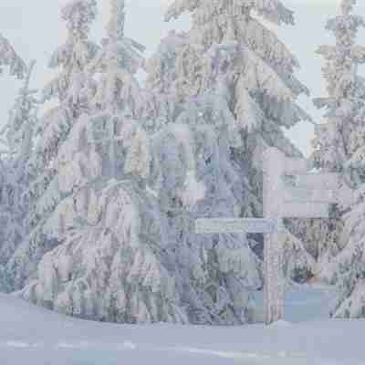 雪景头像唯美冬季雪景风景太美了唯美头像