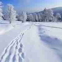 深山古堡雪景微信头像图片大全