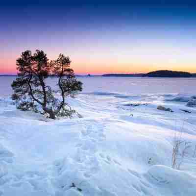 雪景头像唯美冬季雪景风景太美了唯美头像