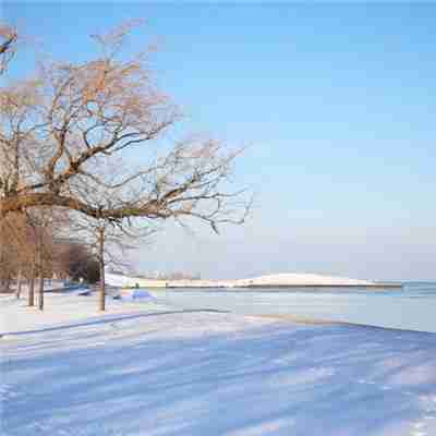 冬天唯美的雪景头像下雪的冬天是极其美丽的唯美头像