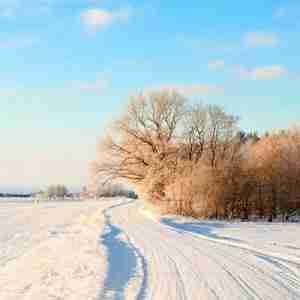 唯美的冬季雪景微信头像微信头像