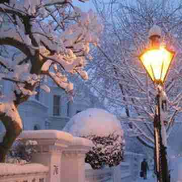 清新迷人的冬季雪景头像图片大全高清图库回车桌面