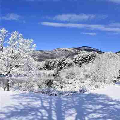 冬天唯美的雪景头像下雪的冬天是极其美丽的唯美头像