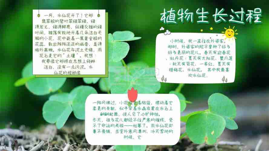 以植物生长为主题的手抄报爱为主题的手抄报