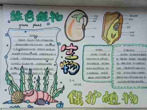 三年级下册植物的手抄报二年级下册手抄报