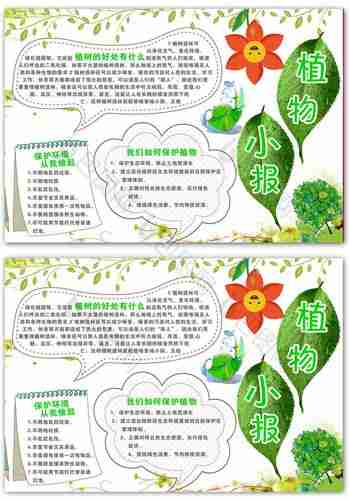 植物电子手抄报图片模板包图网